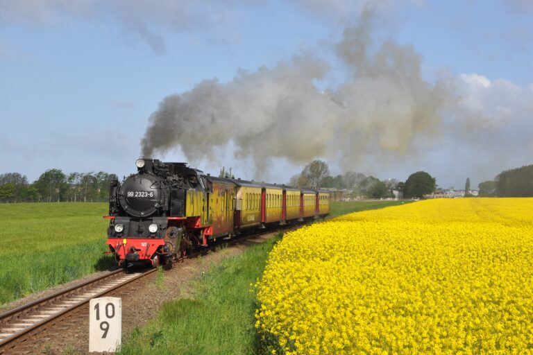 Die Molly ist wieder unterwegs