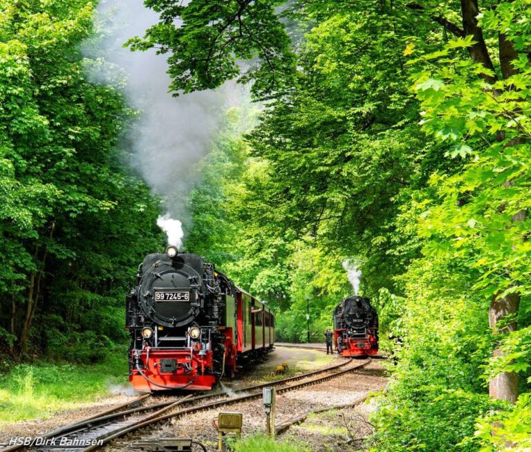 Erster Zug nach Corona