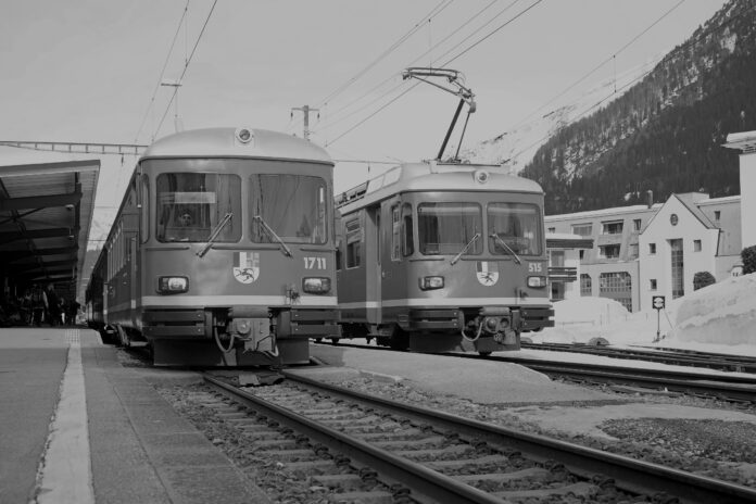 Stammnetzpendel Stammnetzpendel