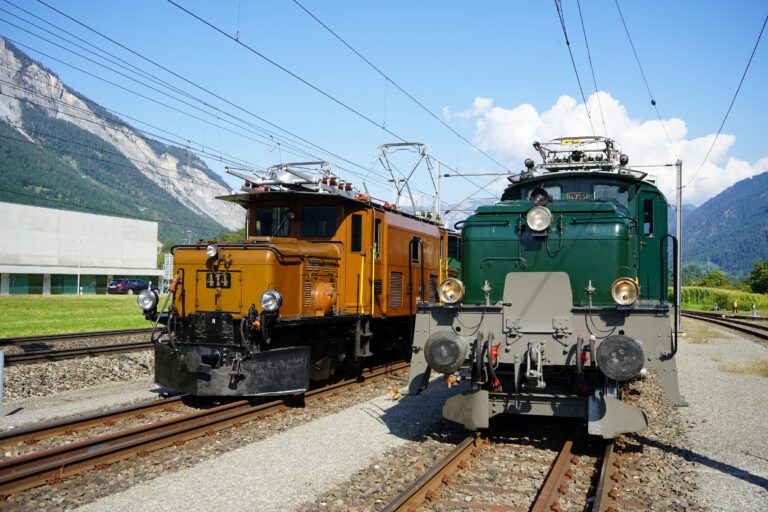 Der 100. Geburtstag vom Rhätischen Krokodil